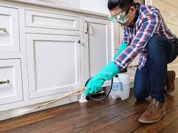 Best Pest Prevention Services  in Holiday Valley, OH